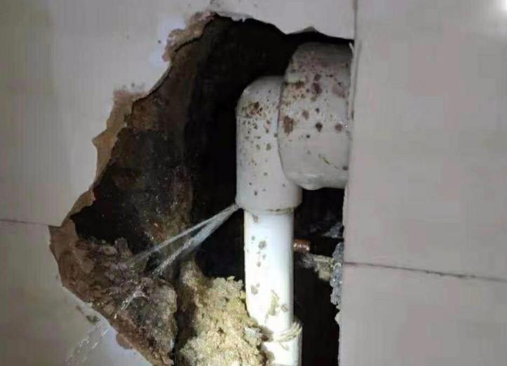 公元水管漏水包賠嗎？選購時別光看牌子！還得看它！