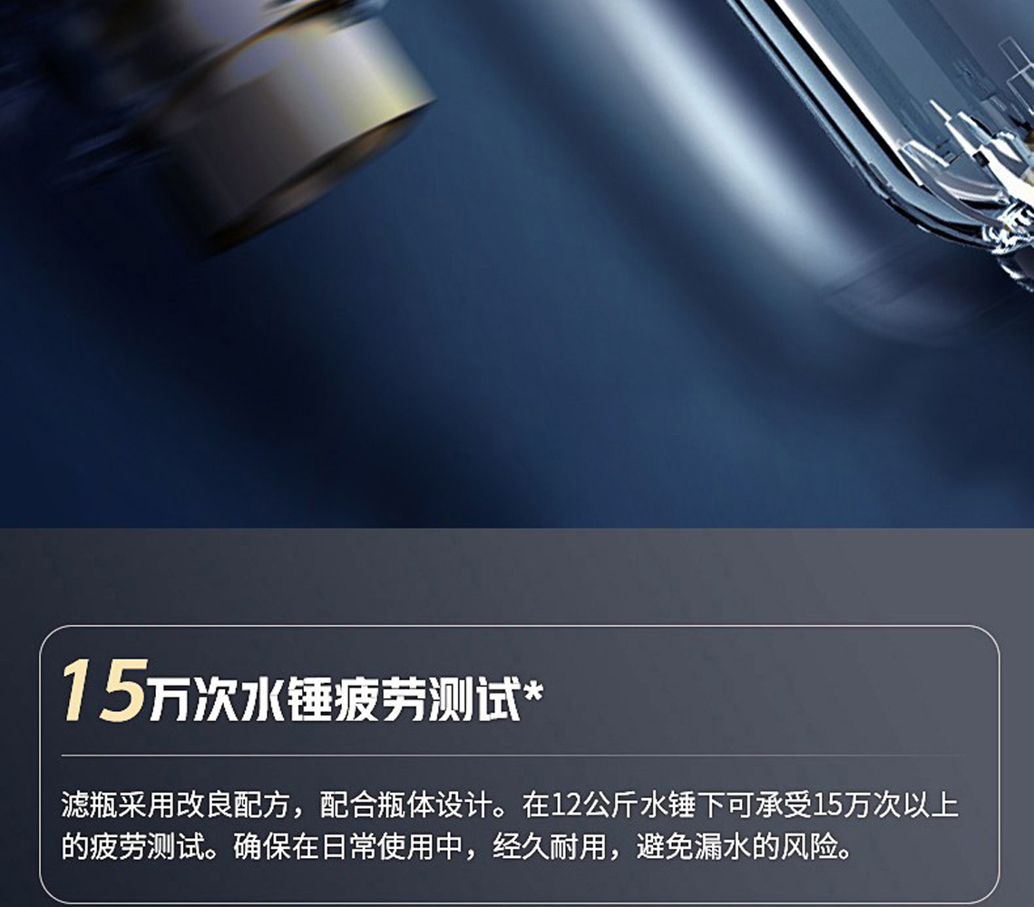 龍勝前置過濾器LS-QZ-10